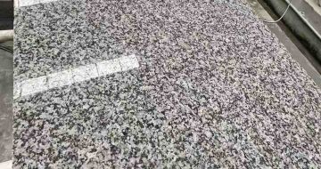  芙蓉白光面