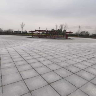  芝麻白火烧面-公园广场地铺效果