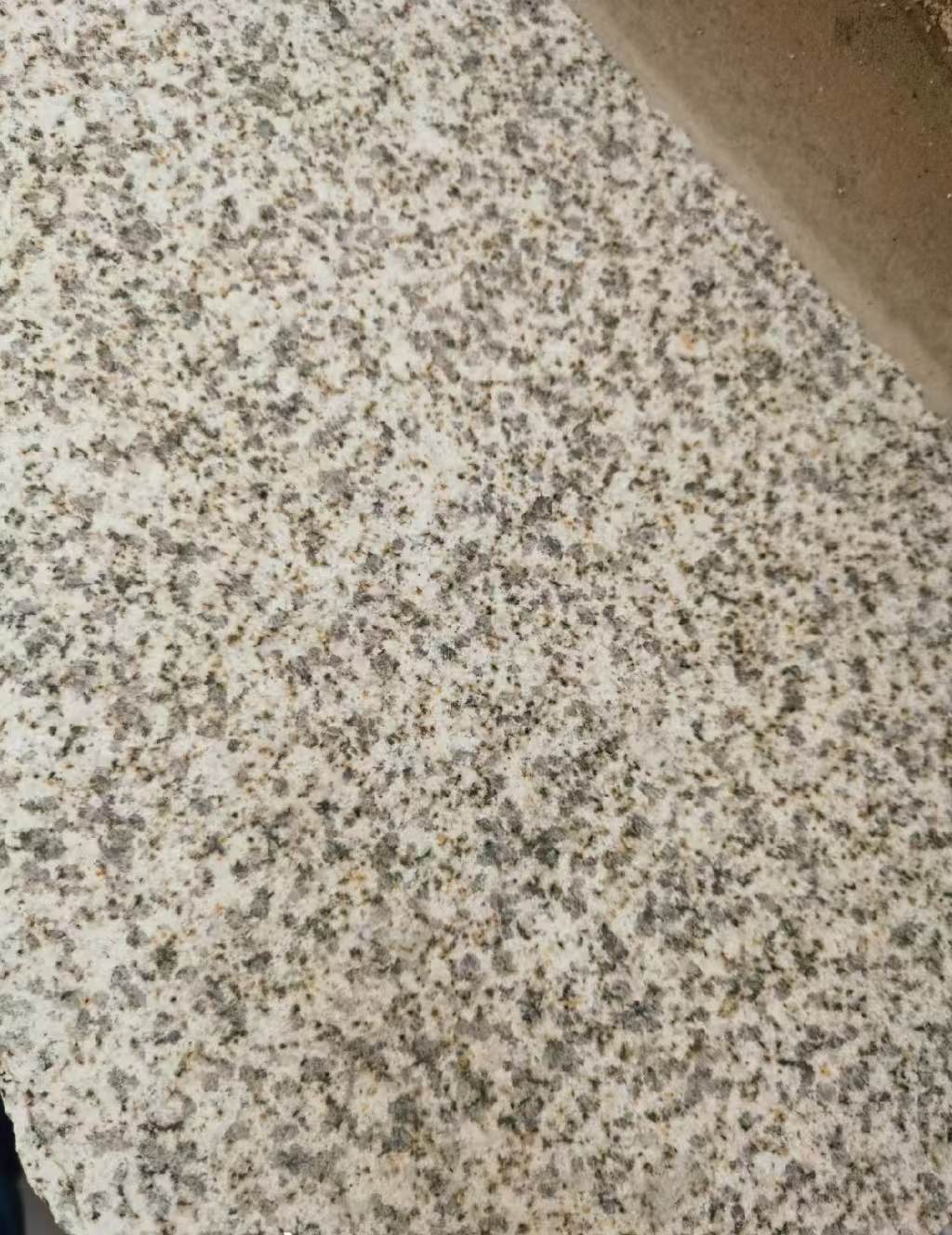  黄金麻中黄光面