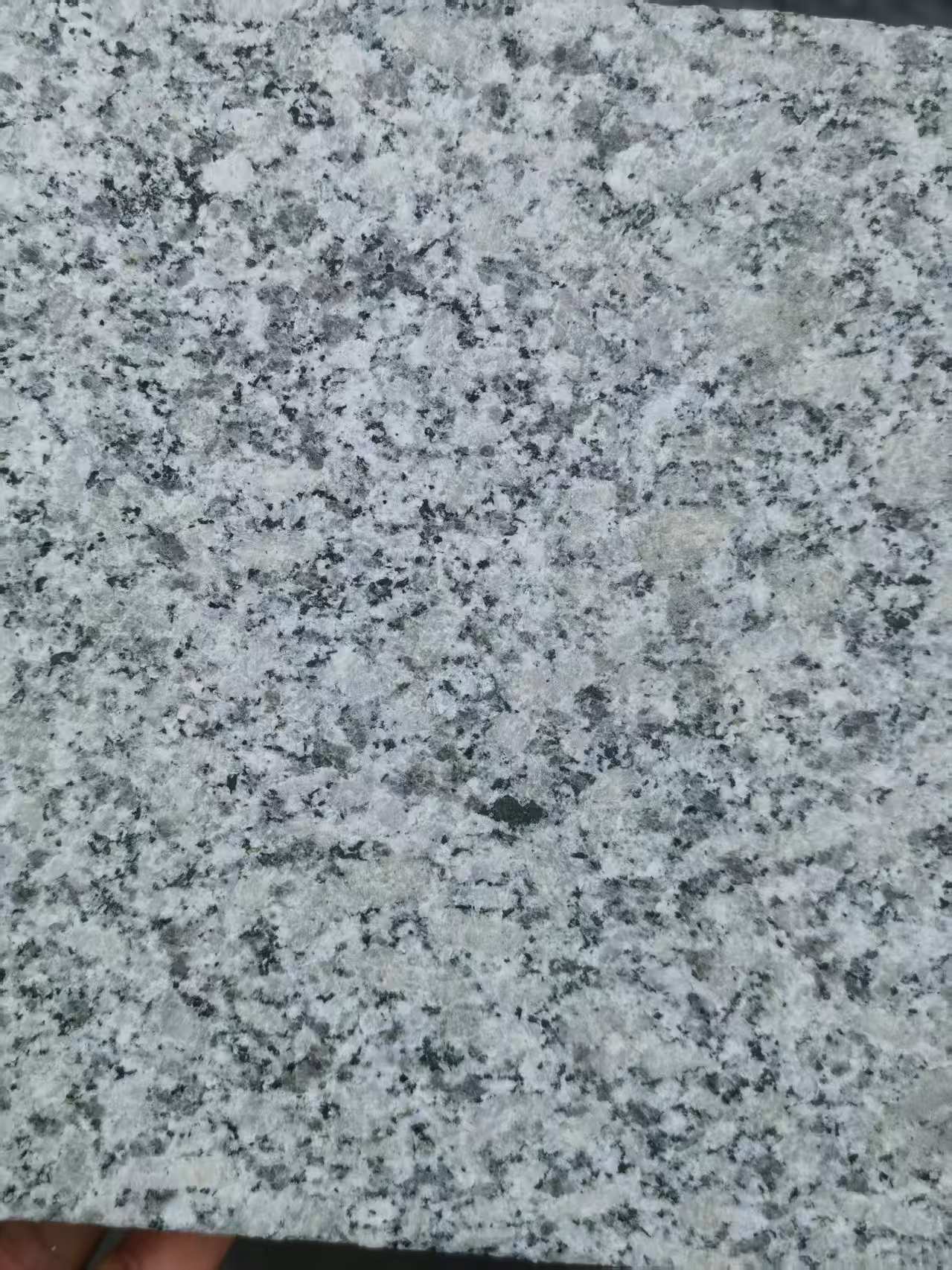  芙蓉白火烧面